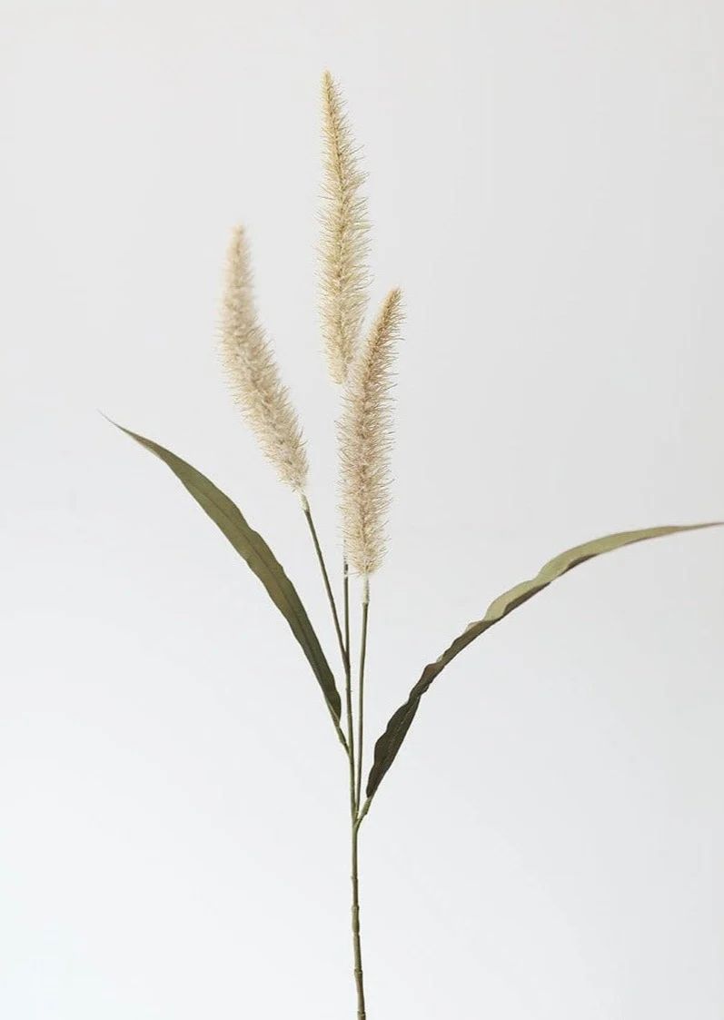 Fake Foxtail Fall Grass in Beige - 36" | Afloral