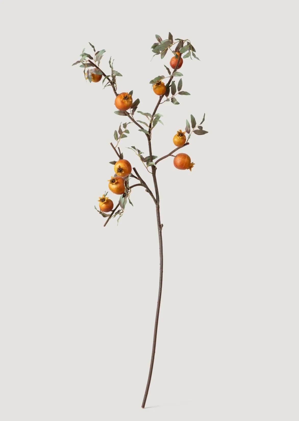 Dried Look Faux Pomegranate Branch | Afloral Botanicals | Afloral