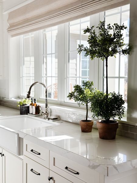 Kitchen | greenery | boxwood topiaries | kitchen sinkk

#LTKSeasonal #LTKfindsunder100 #LTKhome