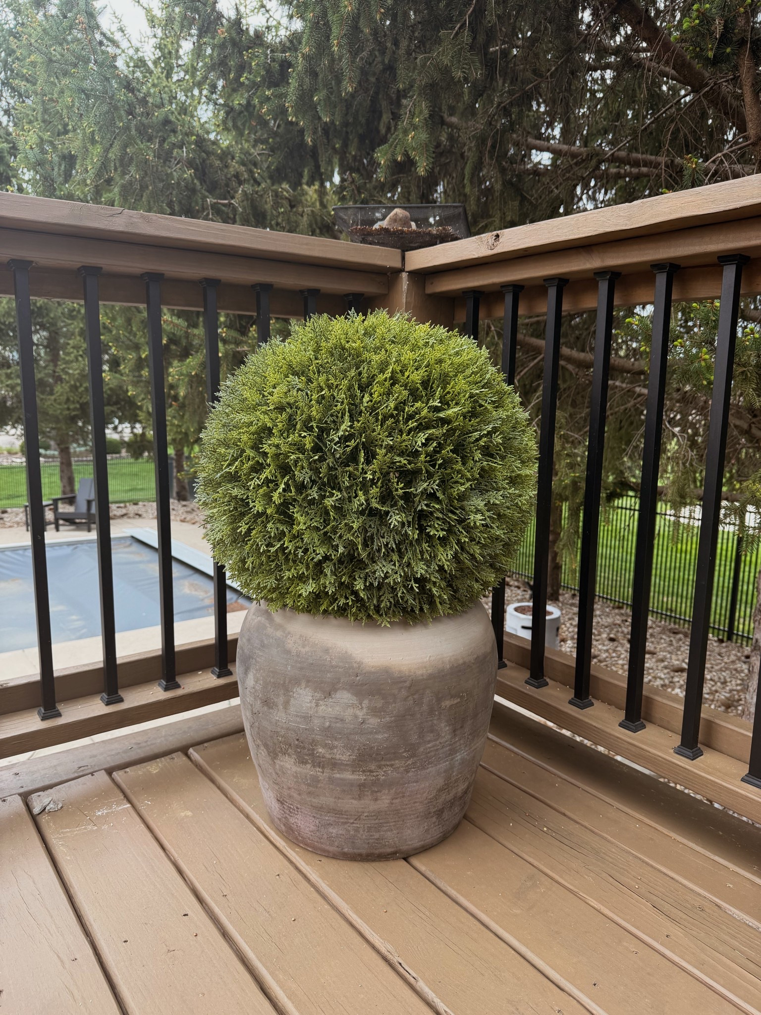 Walmart faux outdoor plant 

#LTKSeasonal #LTKHome #LTKdayinmylife