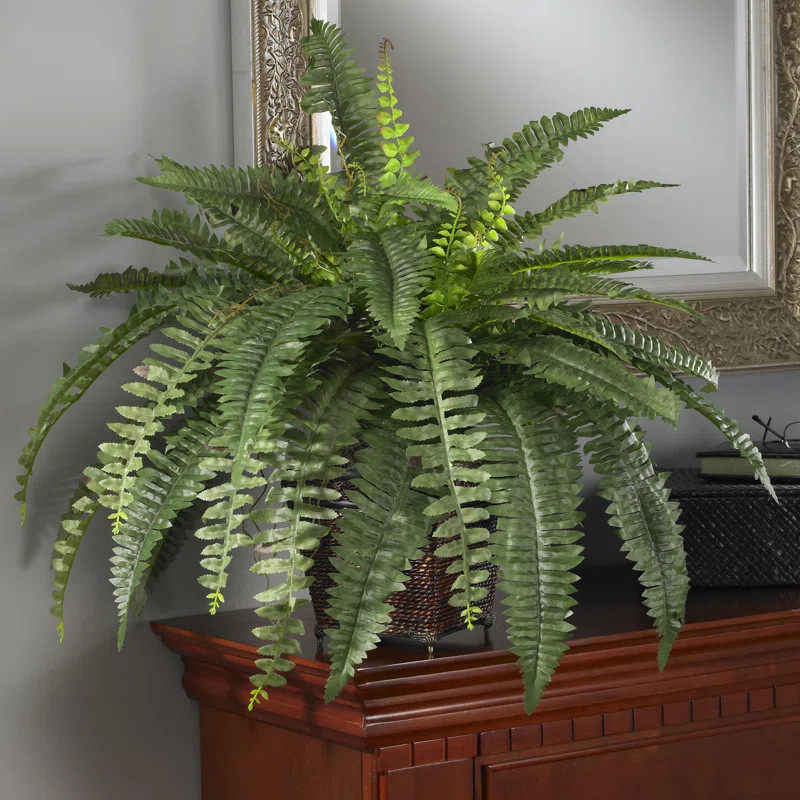 23'' Faux Fern Plant in Wood Pot | Wayfair North America