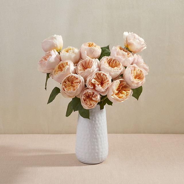 Peachy Pink Garden Roses - The Bouqs Co. | The Bouqs