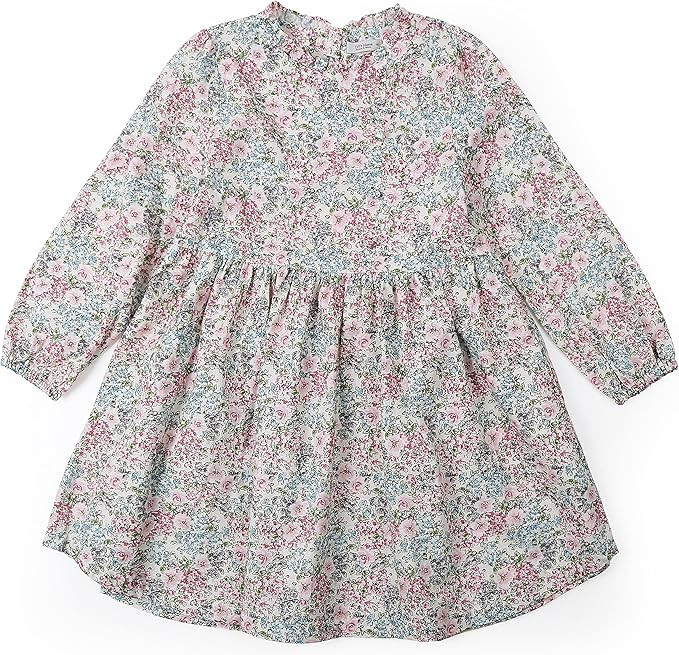 Girl Toddler Baby Dress Long Sleeve Casual Dresses Playwear Fall Flower Ruffle Lace Size 2t-10 Ye... | Amazon (US)