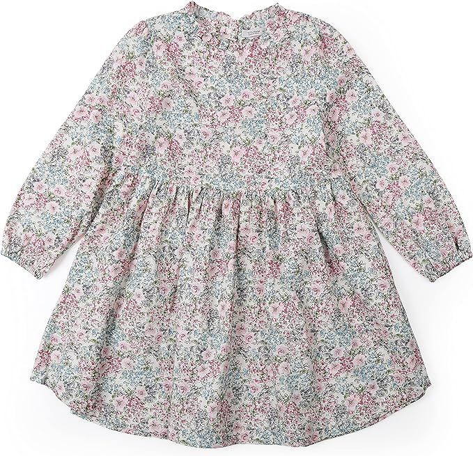 Girl Toddler Baby Dress Long Sleeve Casual Dresses Playwear Fall Flower Ruffle Lace Size 2t-10 Ye... | Amazon (US)