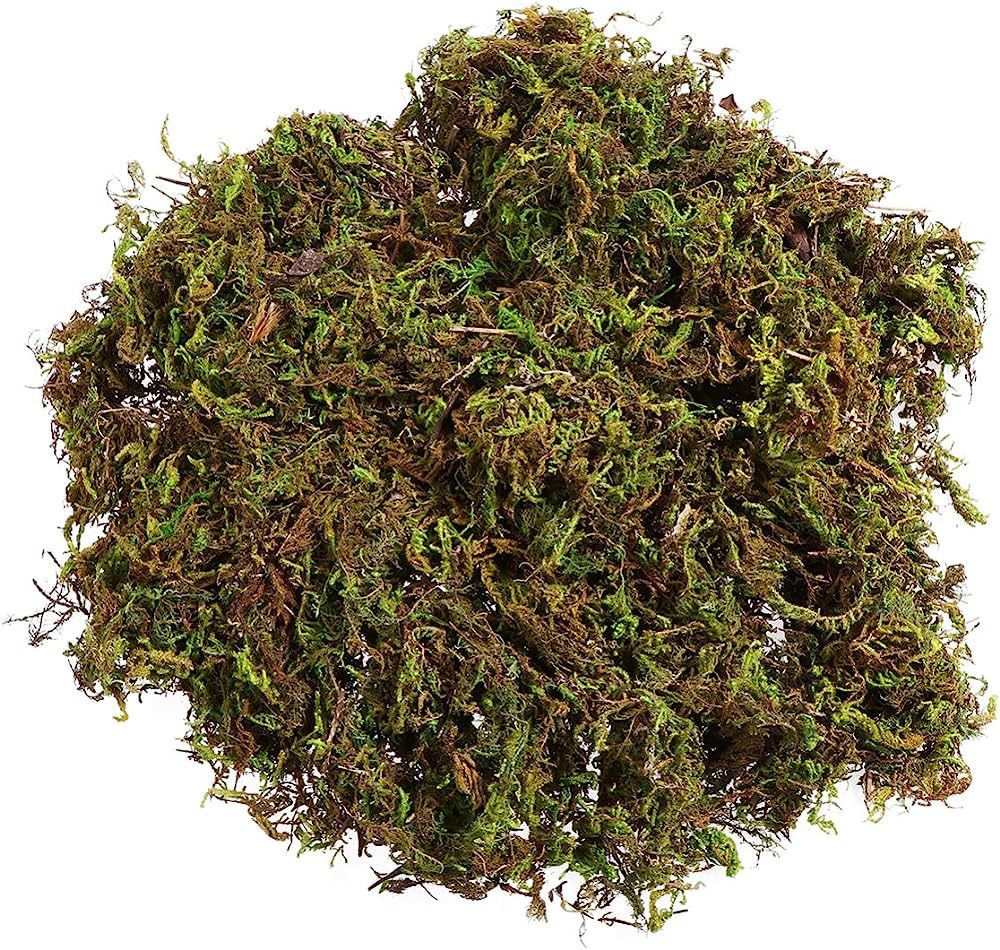 IMIKEYA Artificial Moss : 60g Artificial Green Fake Moss for Crafts Decorative Artificial Faux Mo... | Amazon (US)