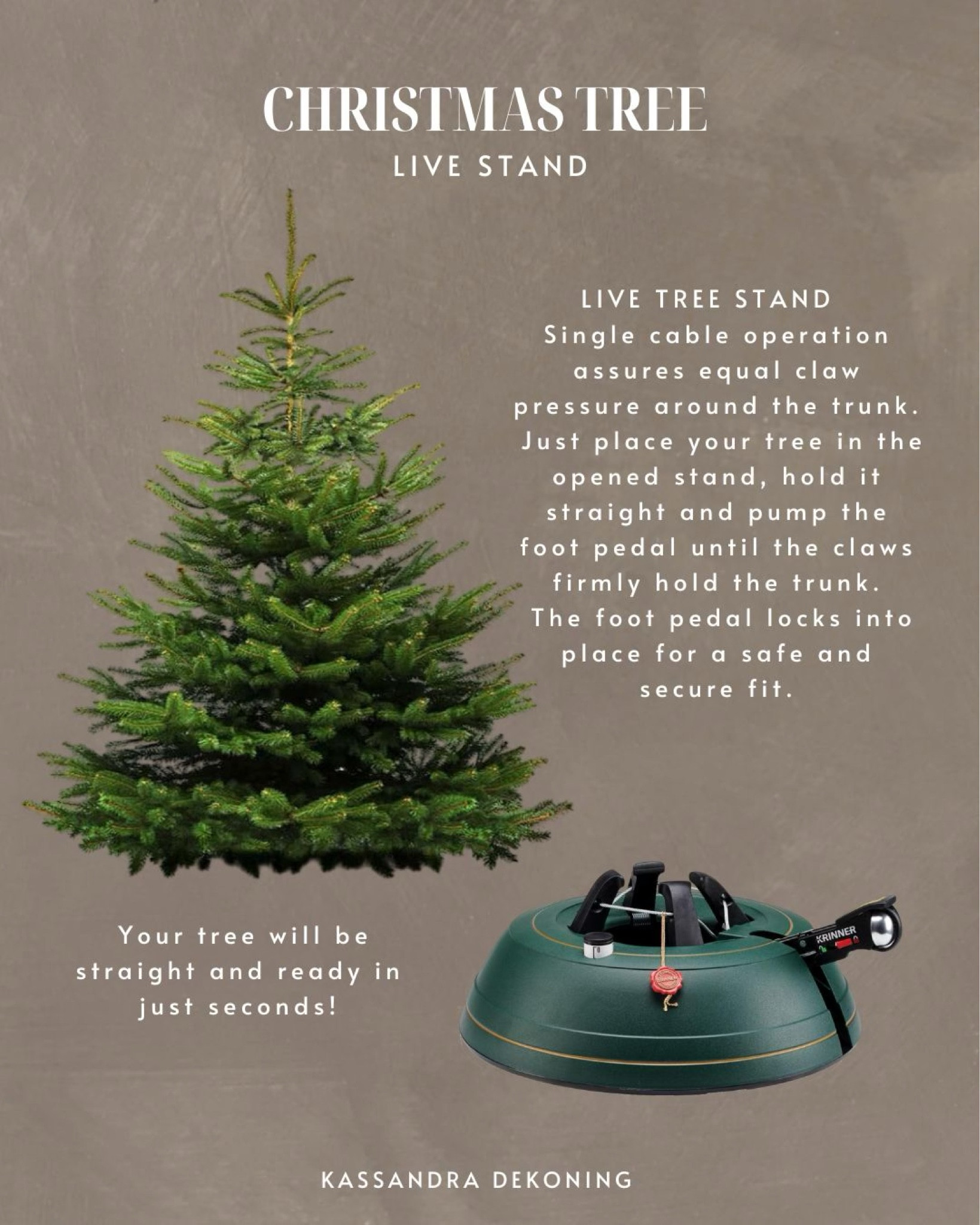 Live Christmas Tree Stand 

#LTKHome #LTKSeasonal #LTKHoliday