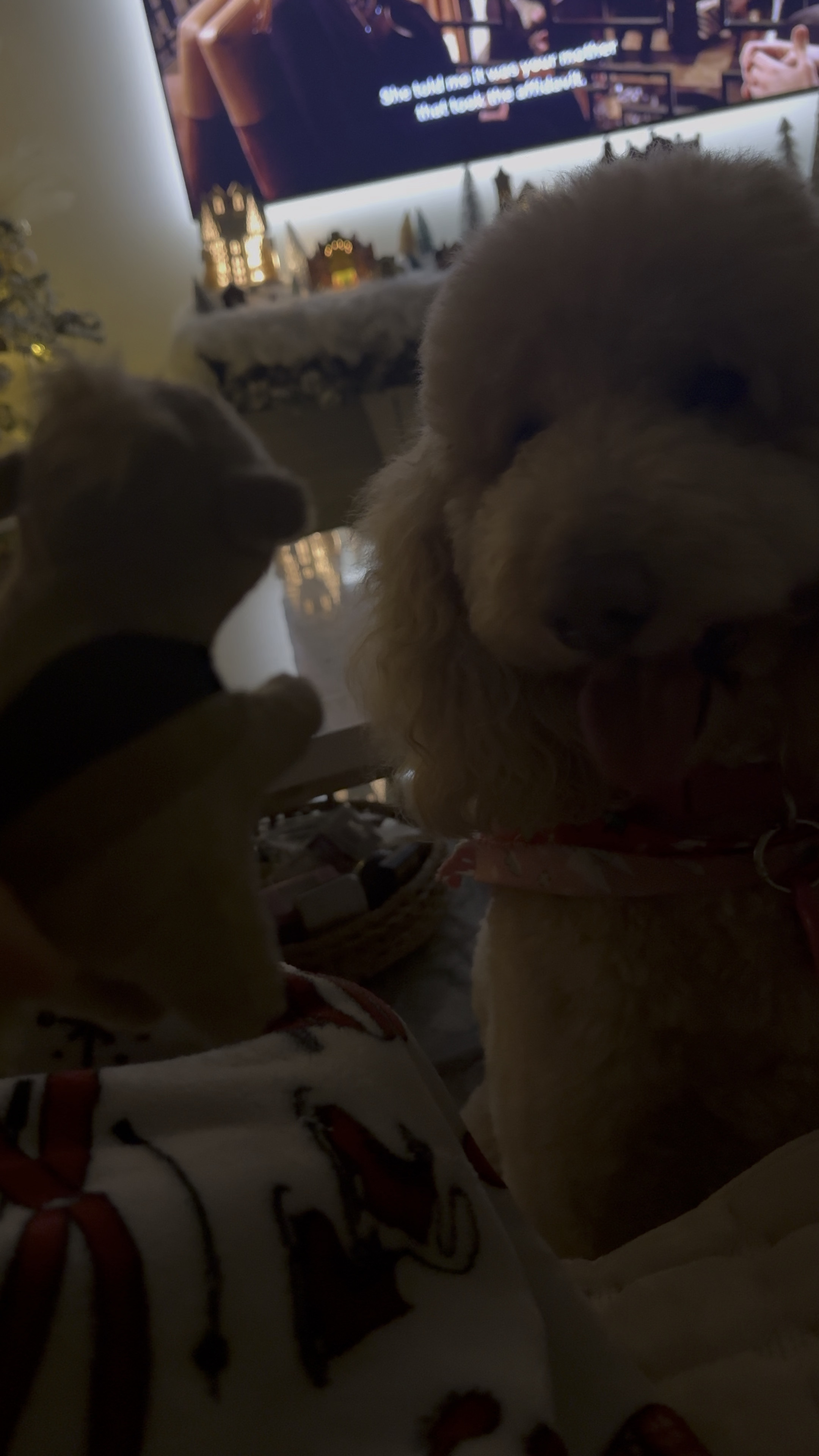 Someone loves her new toy 

#LTKHoliday #LTKGiftGuide