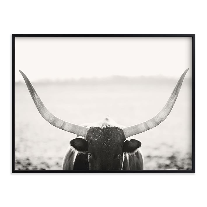 Minted for west elm - Staredown | West Elm (US)