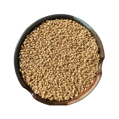 Central Milling Company Organic Soft White Winter Wheat Berries - 25 lb | Target