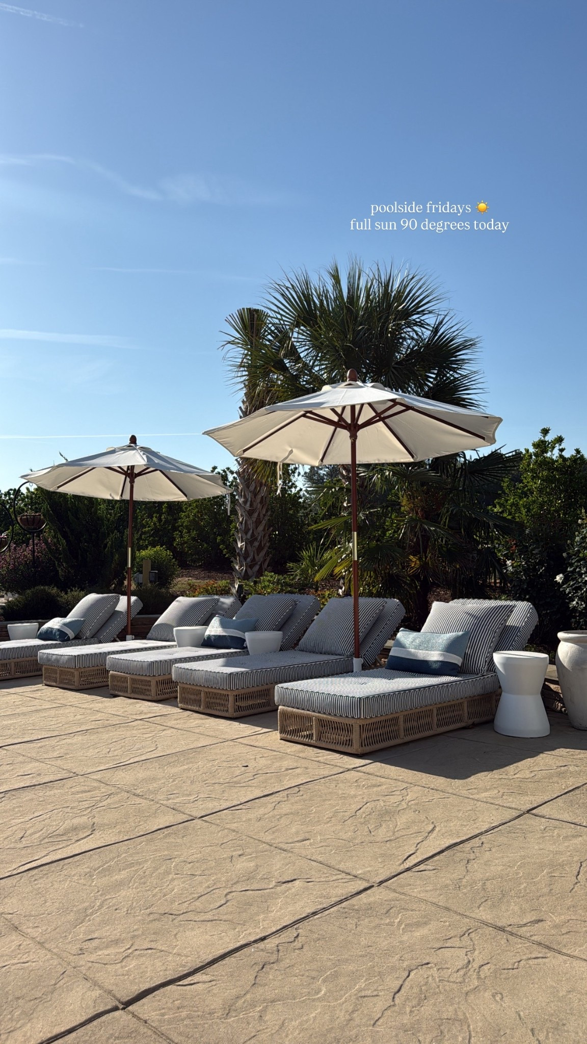 poolside 👙

*cushions are business & pleasure*

#LTKSeasonal #LTKHome