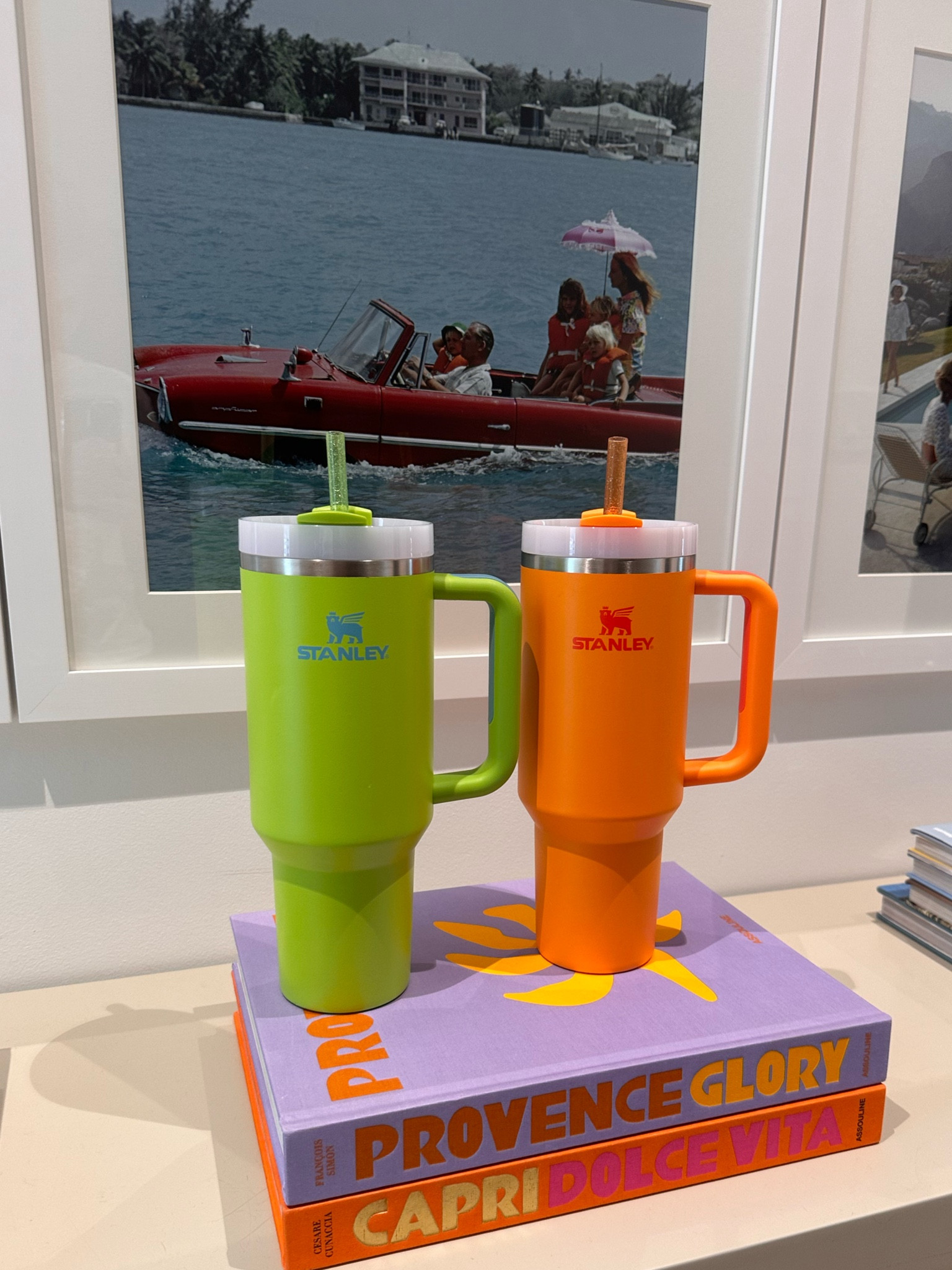 Dick sporting goods has soooo many stanley colors available + reusable straws - I got the glitter pack :) great gift! 

#LTKGiftGuide #LTKFamily #LTKSeasonal