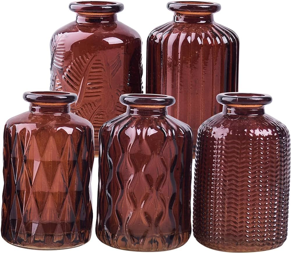 ELEGANTTIME Set of 5 Brown Amber Glass Bud Vase Set Multi Colour Glass Flower Vase Bottle with Cr... | Amazon (US)