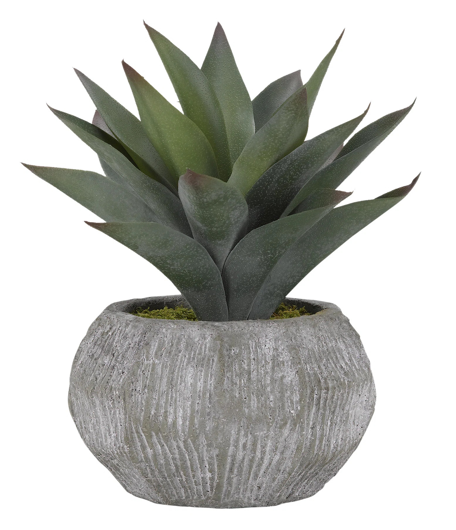 Dakota Fields 10.5'' Faux Aloe Plant in Ceramic Planter & Reviews | Wayfair | Wayfair North America