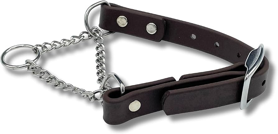Martingale Collar for Dogs, Biothane, Stainless Steel Hardware, No Pull, Made in The USA, Profess... | Amazon (US)