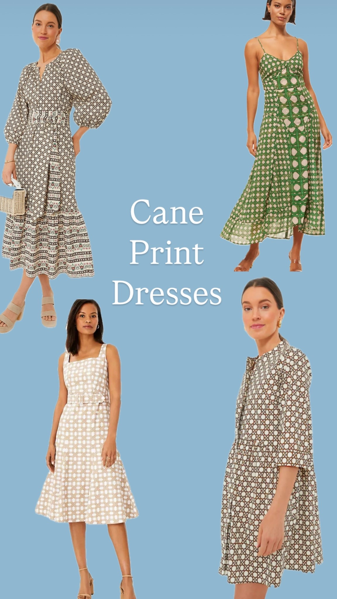 A mix of secondhand cane print dresses, perfect for spring and summer!

#LTKStyleTip #LTKParties #LTKSeasonal