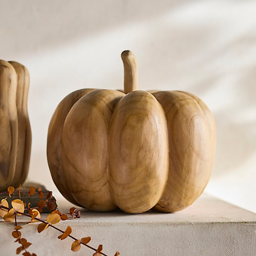 Teak Pumpkin | Terrain