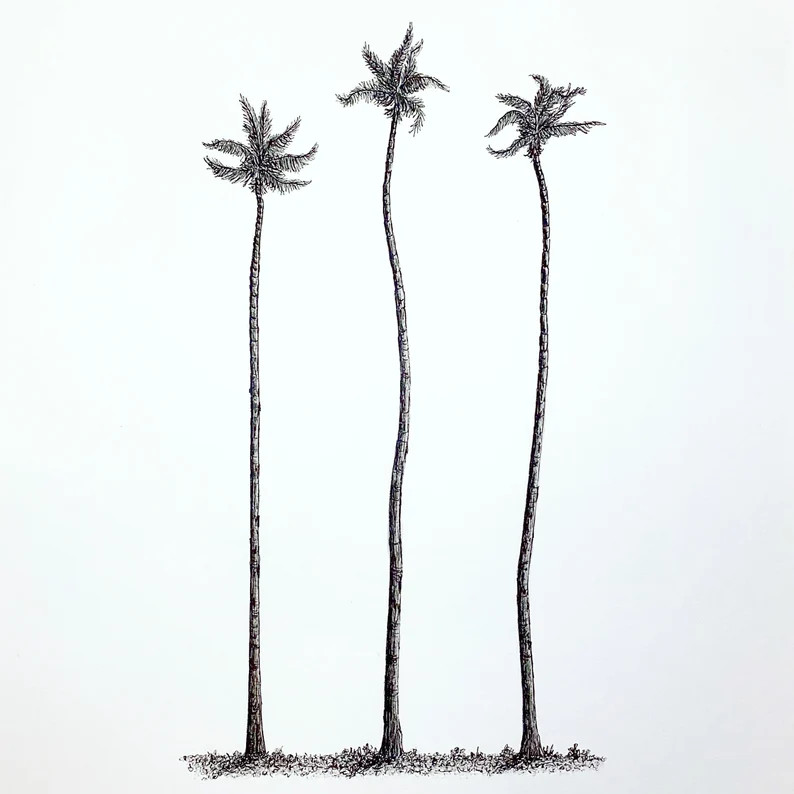 Wonky Palm Tree-o | Original ink artwork. , Minimal, fine line tree drawings. Large A3 portrait, ... | Etsy (US)