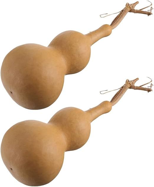 Toyvian 2pcs Natural Dried Gourds Unfinished Wood Gourd Bottle DIY Painting Wood Peg Doll Dried G... | Amazon (US)