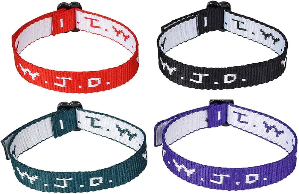 Rhode Island Novelty W.W.J.D. Webbing Bracelets, Twelve Per Order | Amazon (US)
