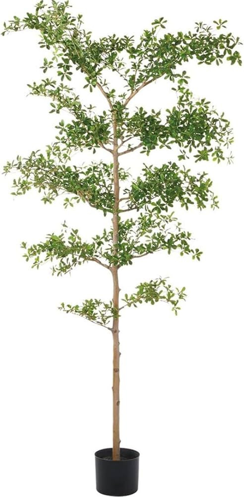 Real Touch DIY Artificial Flower, Faux Black Olive Tree, Shady Lady Tree, Black Olive Tree, Olive... | Amazon (US)