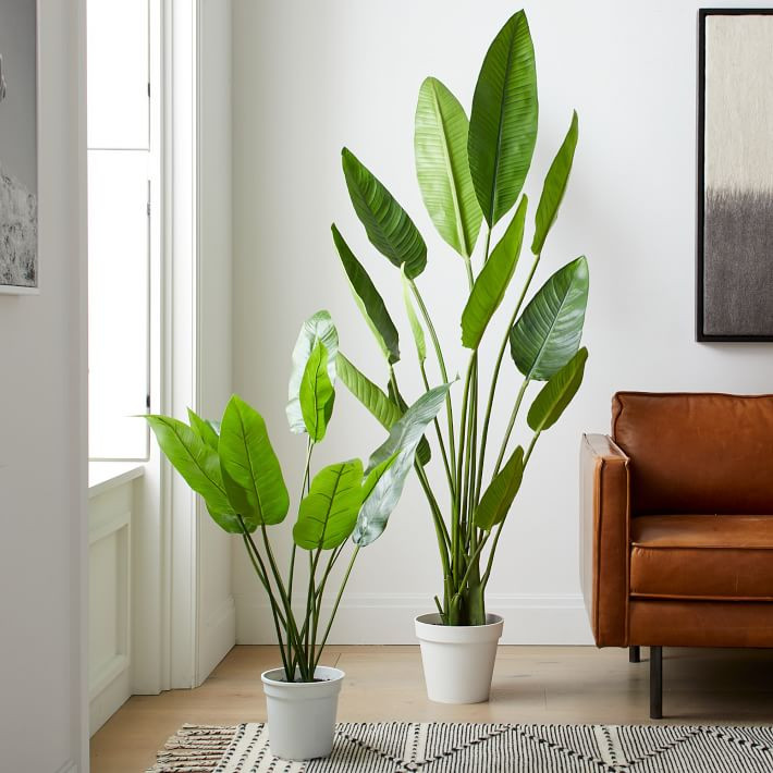 Faux Potted Bird of Paradise Plant | West Elm (US)