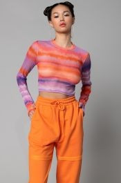 CANDY SHOP MESH LONG SLEEVE MOCK NECK TOP | AKIRA