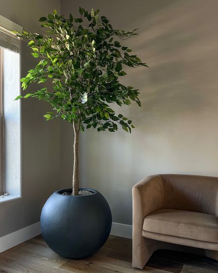 Faux tree must have that is super affordable yet looks realistic and is absolutely stunning. 
Battery operated lighting to elevate the look… love seeing them all lit at night 
Round planter …linking less pricey ones I own and love as well
Amazon home 
Target side chairs 
