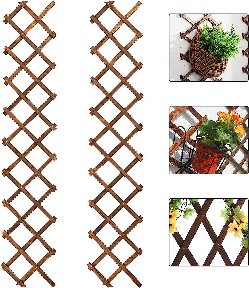Pack of 2 Wooden Lattice Wall Planter- Extra Thick Expandable Plant Climb Hanging Frame Trellis P... | Amazon (US)