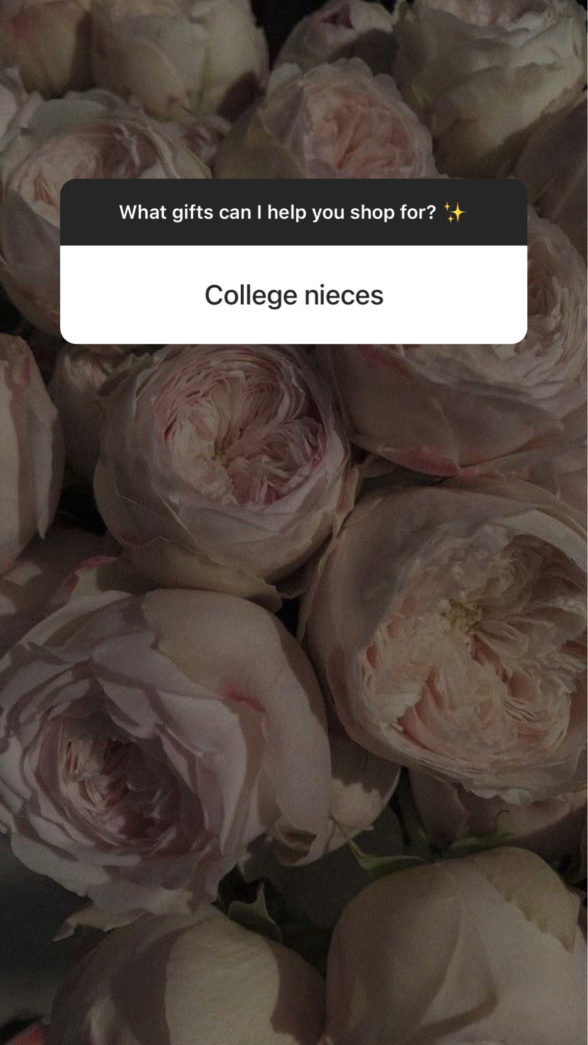 Gift ideas for your college niece✨
StylinByAylin, Aylin, niece, gift ideas, gift guides

#LTKGiftGuide #LTKHoliday #LTKSeasonal