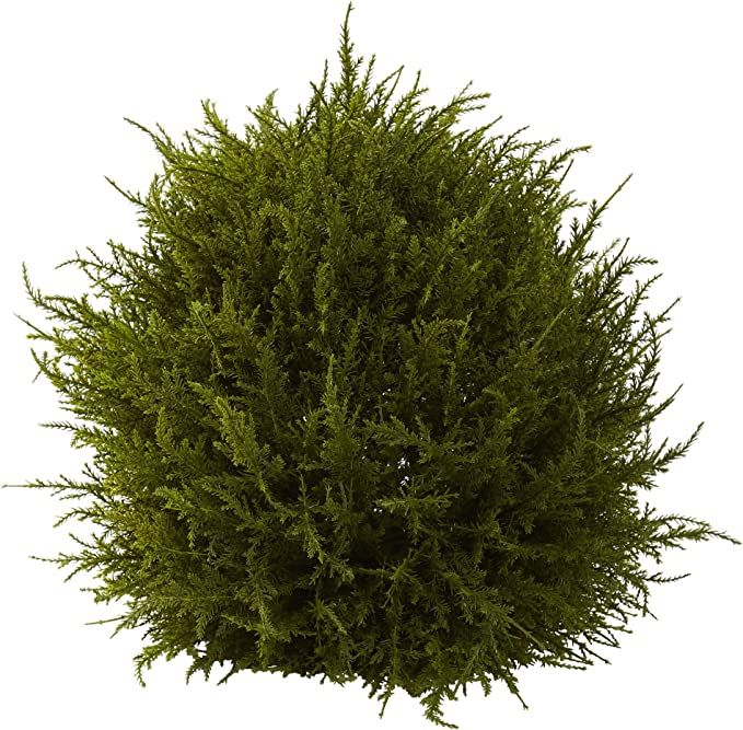 Nearly Natural 4950 Cedar Decorative Sphere, 14-Inch, Green,10.125" x 10.125" x 17.5" | Amazon (US)