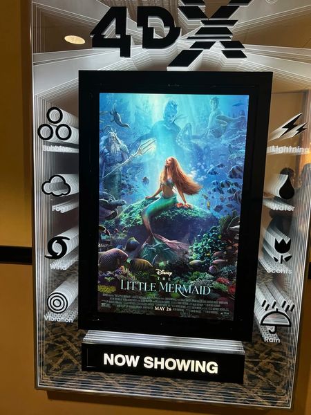 Now you can be part of her works before you head to the theater to see Little Mermaid! 

#LTKunder50 #LTKbeauty #LTKitbag