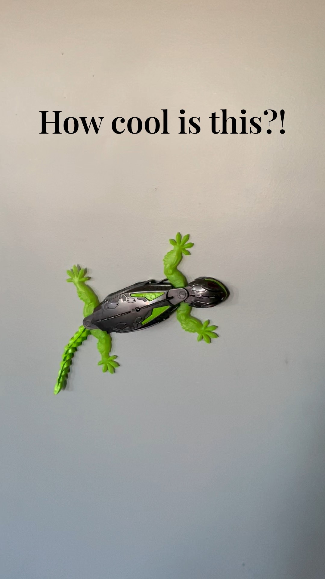 This gecko climbs on the wall! This is a favorite in our house!

#LTKmomlife #LTKKids #LTKFindsUnder50