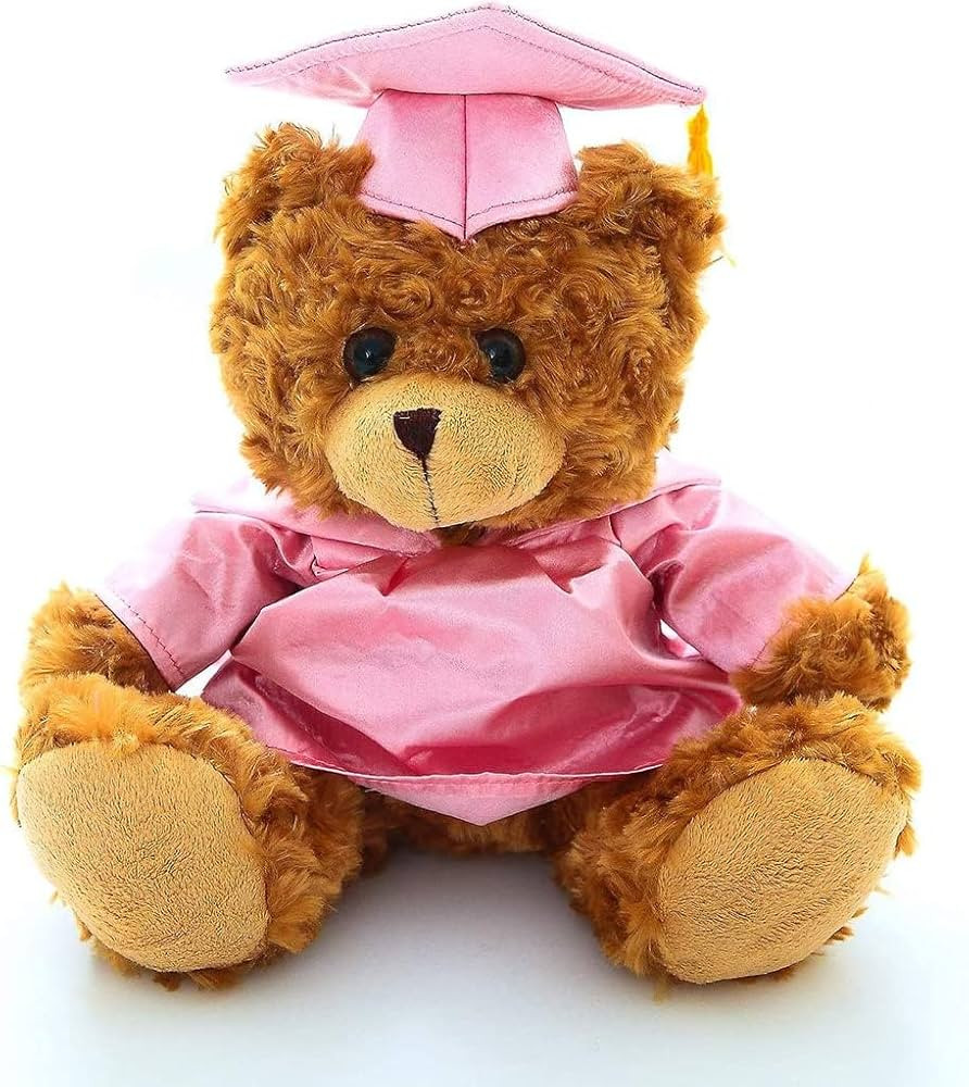 Plush Stuffed Animal Toys 12 Inches Present Gifts for Graduation Day, Personalized Text, Name or ... | Amazon (US)