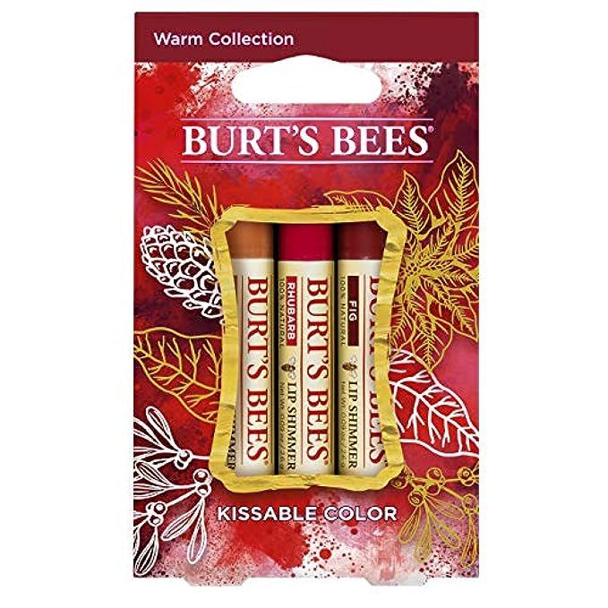 Burt's Bees Kissable Color Warm Holiday Gift Set | Amazon (US)