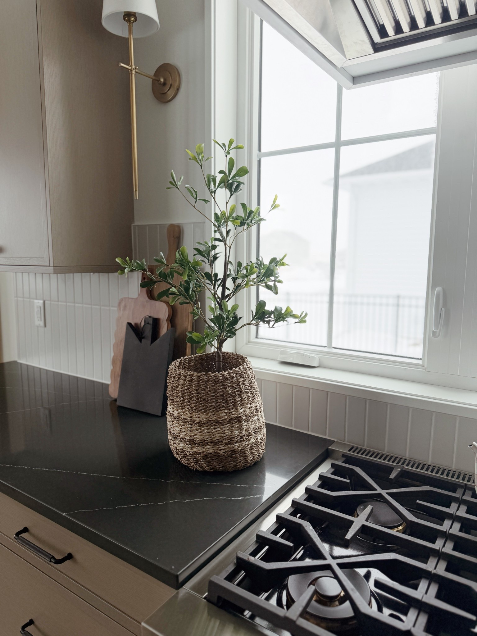 Cute little faux olive tree. Add to a small basket or it comes in a cute cream colored planter  

#LTKHome #LTKFindsUnder50