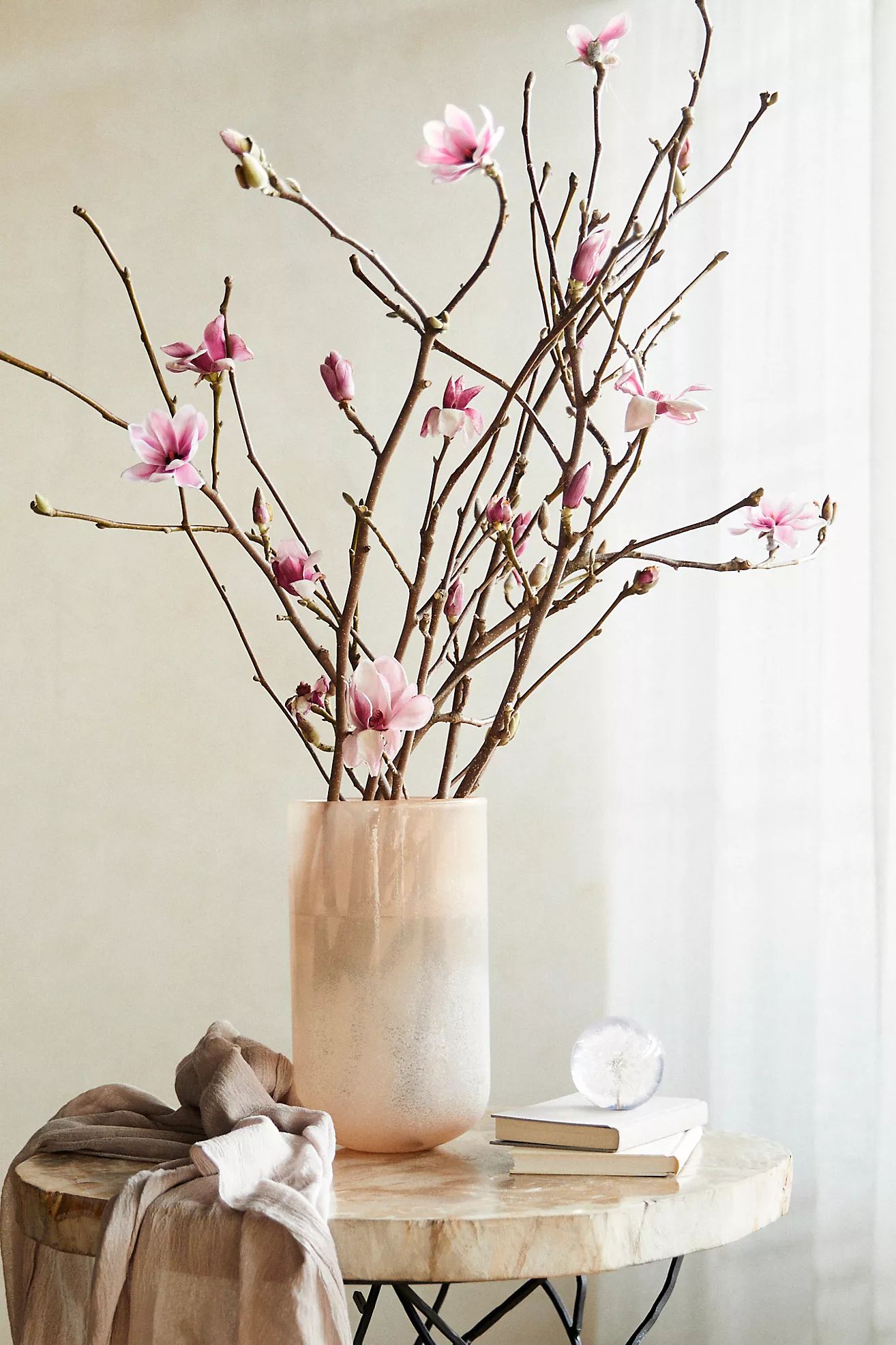 Tulip Magnolia Branches | Terrain