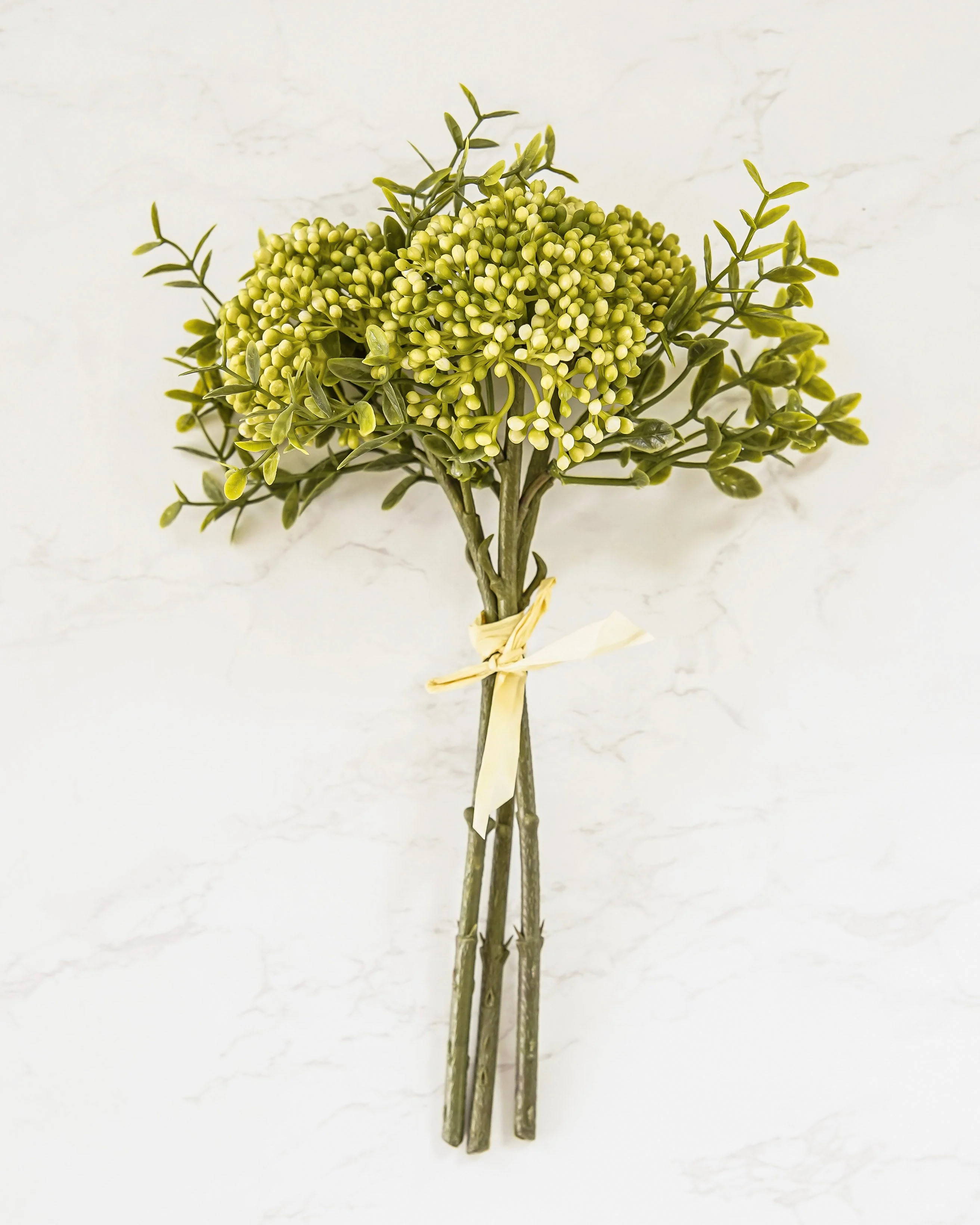 Spring Green Sedum Bunch | MJHome