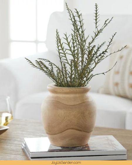 Shop this gorgeous neutral plant pot. 

#LTKfindsunder50 #LTKhome #LTKfindsunder100