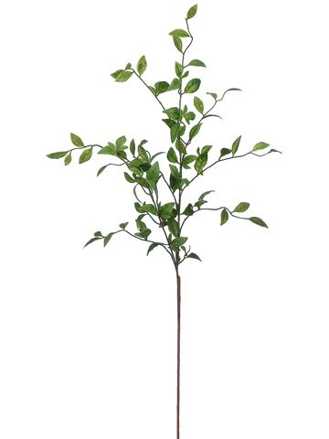 Arcadia Silk Plantation 32" Nandina Leaf Spray Green (Pack of 12) | Amazon (US)