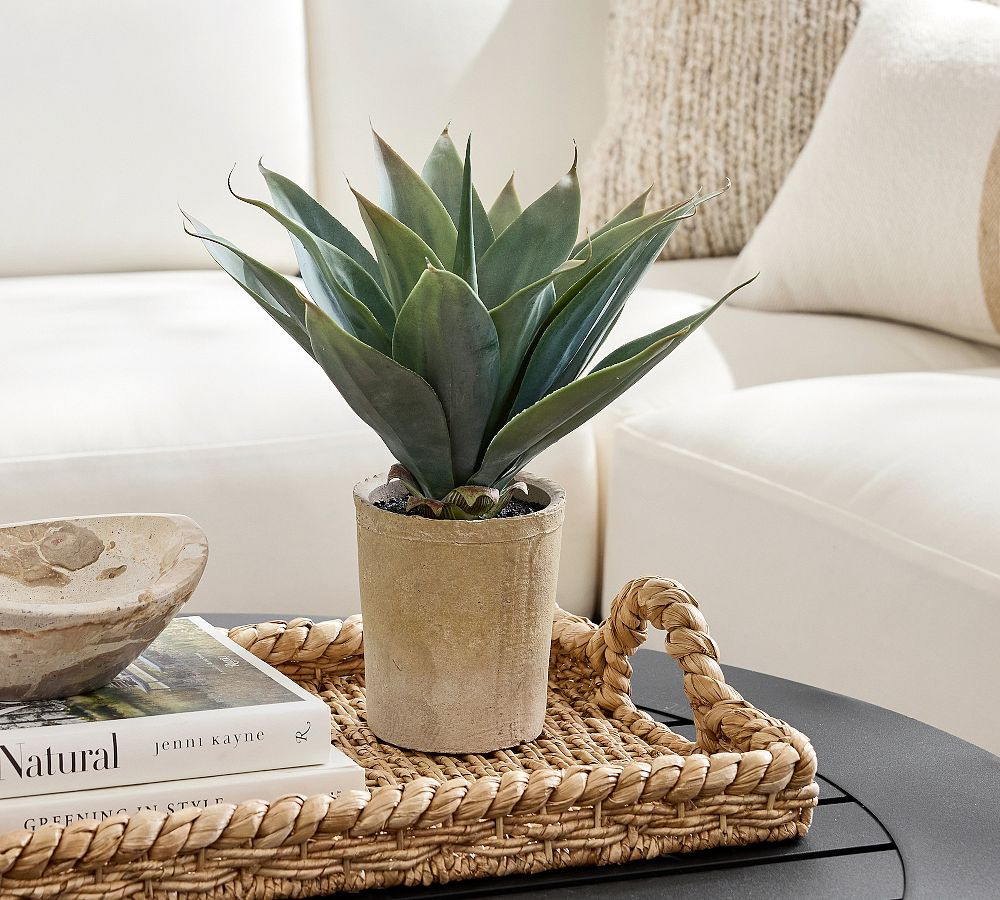 Faux Composed Agave Root Plant | Pottery Barn (US)
