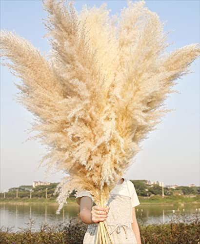10 Stems 46" inch Dried Pampas Grass Decor Tall, Large Pompas Grass, Boho Neutral Home Decor Bouquet, Fluffy Pampass Grass for Floor Vase Wedding Floral Arrangements Wall Farmhouse Table Decor | Amazon (US)
