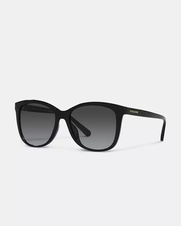 Geometric Square Sunglasses | Coach Outlet US