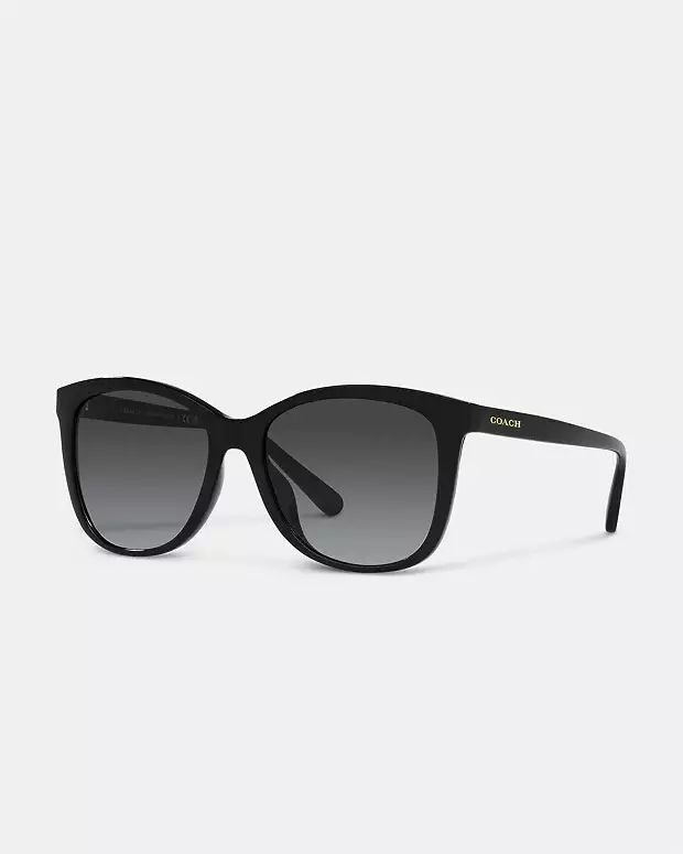 Geometric Square Sunglasses | Coach Outlet