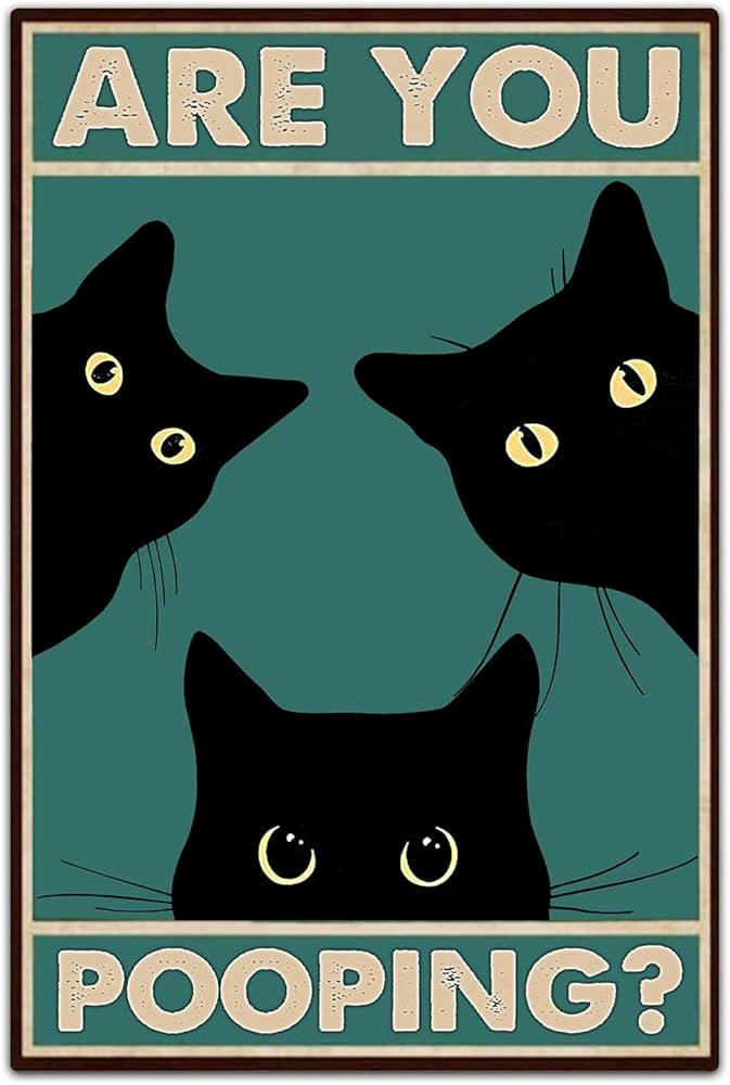 Black Cat Are You Pooping Funny Tin Signs Bathroom Wall Decor 8 x 12 Inch (918) | Amazon (US)