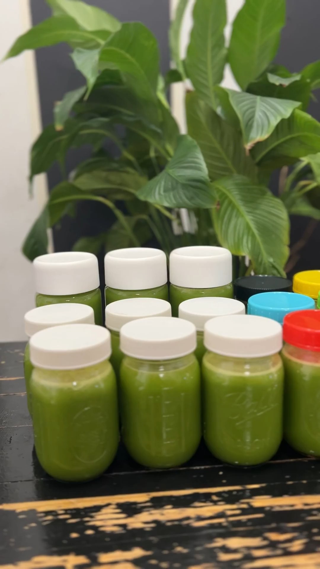 Juicing doesn’t have to feel like a chore when you have the RIGHT juicer 🥕💚
Less prep, smoother juice, easy cleanup — which means you actually use it and see results.
I added the exact juicer I use to LTK so you can upgrade your kitchen and your health at the same time.

#juicingmadeeasy #juicerfavorites #healthyathome #wellnessjourney #juiceprep #kitchenupgrade #LTKhome #LTKfinds #LTKsale #shoppingmusthaves #onlineshopping #healthyinspo #ShoppingWithPriiincesss #Atlantamom #AtlantaCreator #Atlantacontentcreators


#LTKGiftGuide #LTKfitnessgoals #LTKHoliday