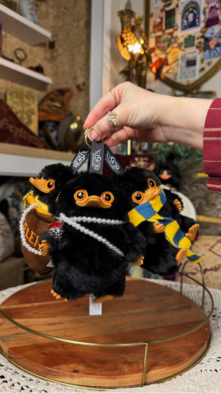 Harry Potter Fantastic beast  mystery bag charms!

#LTKSeasonal #LTKSaleAlert #LTKKids