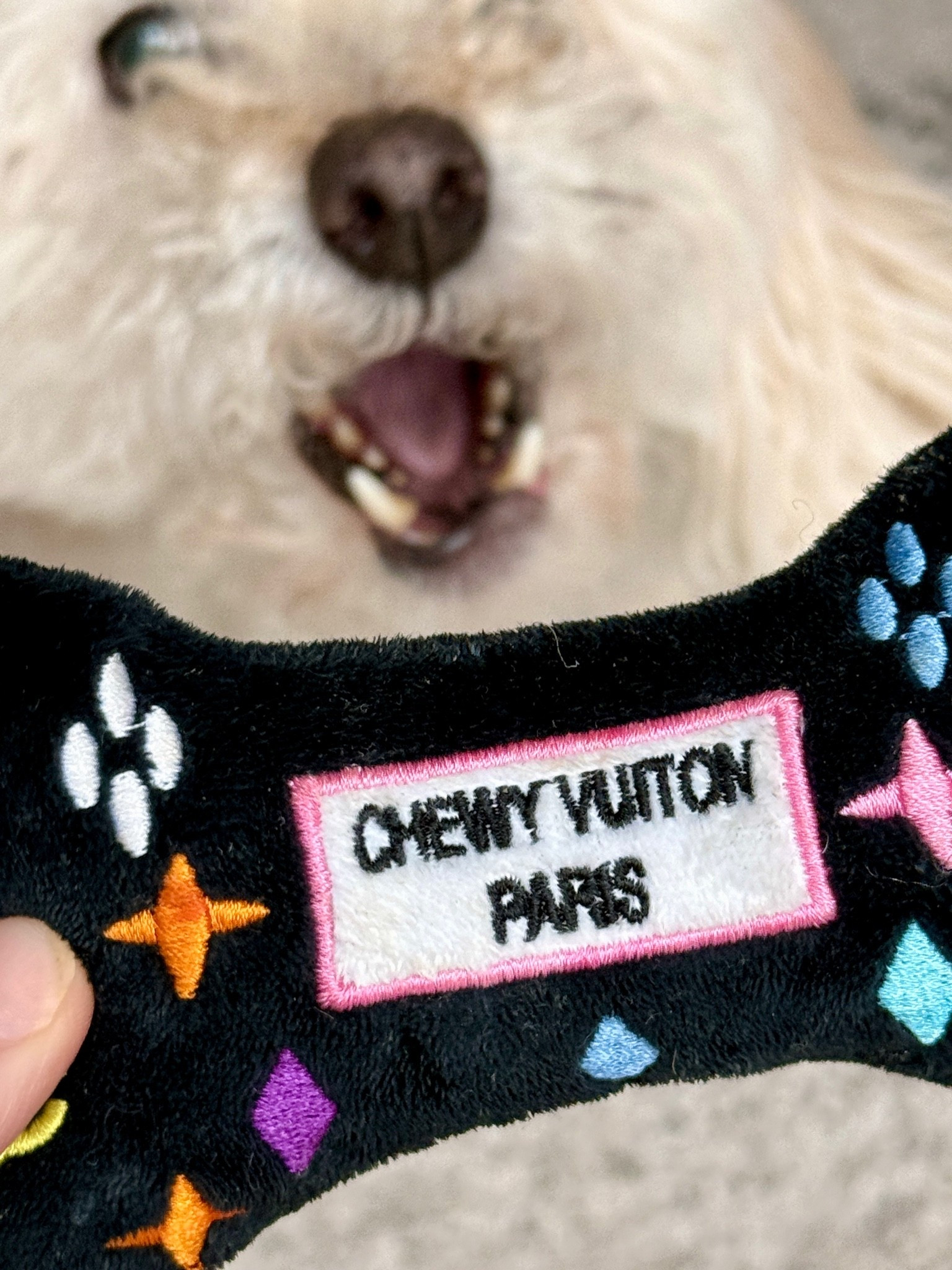Cute and bougie dog toys! My pup loves this toy it’s her absolute favorite 

Dog toys

#LTKmomlife #LTKHome #LTKSeasonal