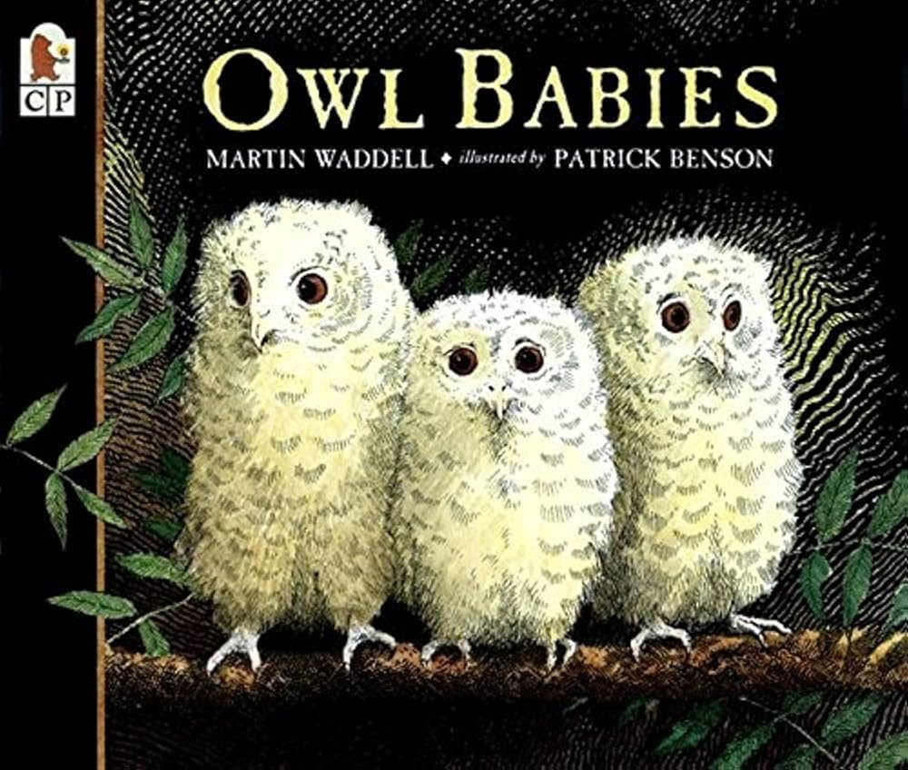 Owl Babies | Amazon (US)