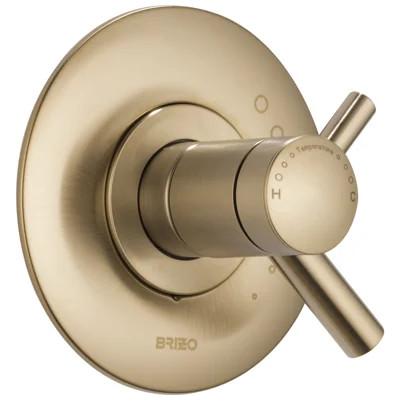 Odin® TempAssure® Thermostatic Valve Trim | Perigold