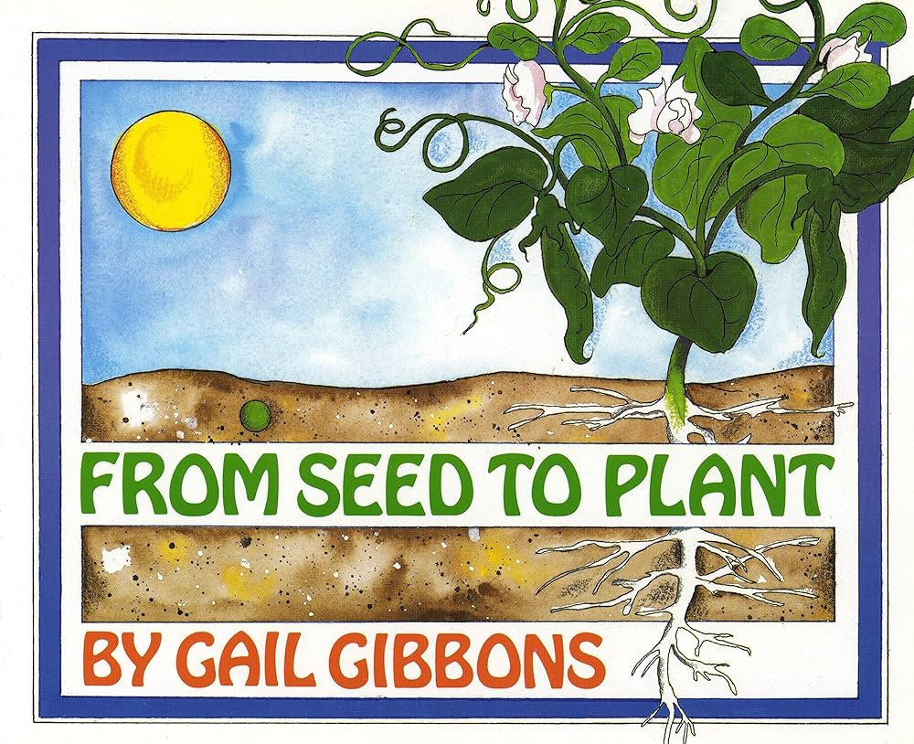 From Seed to Plant | Amazon (US)